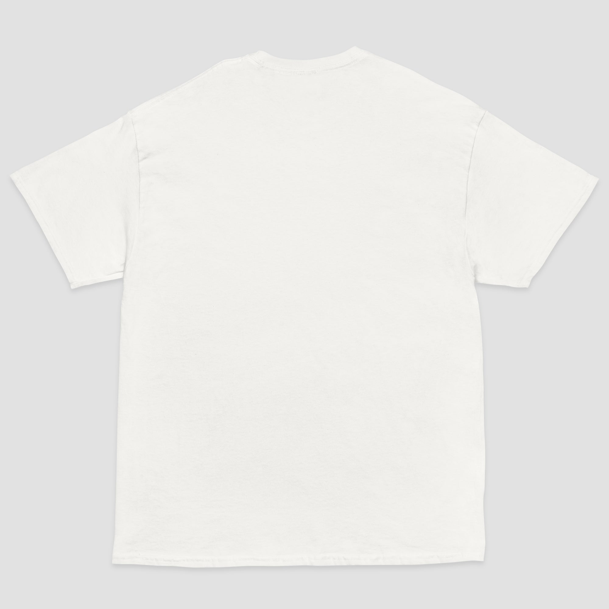 A plain white short-sleeve t-shirt shown from the back, laid flat against a light gray background.