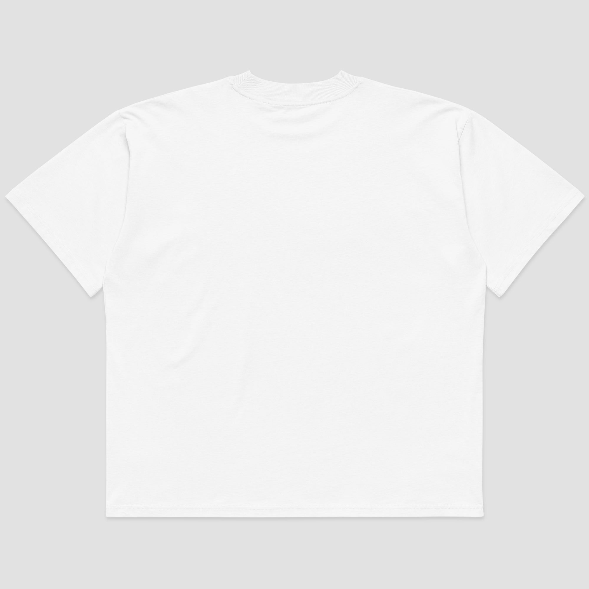A plain white short-sleeve crewneck t-shirt shown from the back, laid flat against a light gray background.