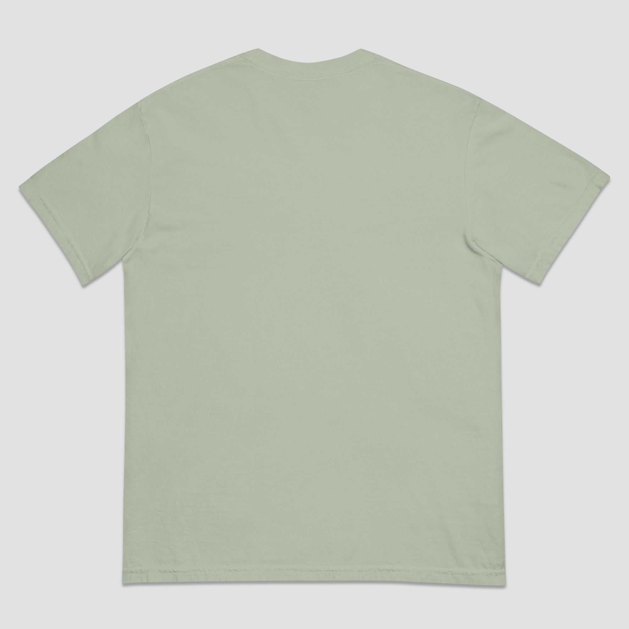 A light sage green short-sleeve t-shirt shown from the back, laid flat against a neutral light gray background.